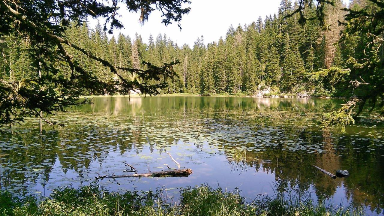 Cottage Bosaca Žabljak Εξωτερικό φωτογραφία