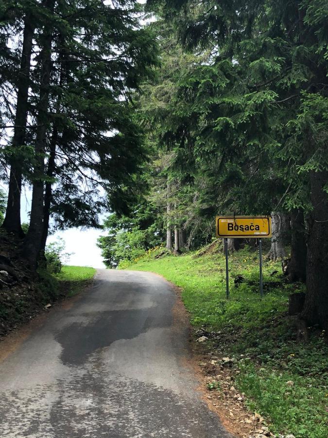 Cottage Bosaca Žabljak Εξωτερικό φωτογραφία