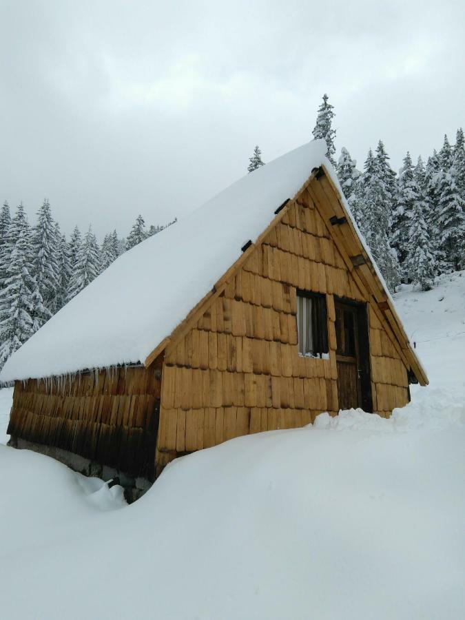 Cottage Bosaca Žabljak Εξωτερικό φωτογραφία