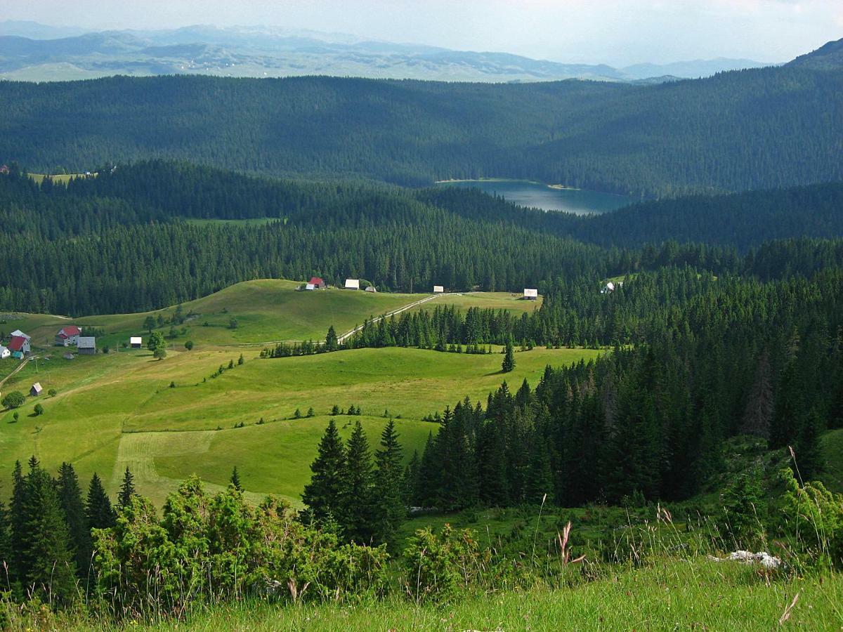 Cottage Bosaca Žabljak Εξωτερικό φωτογραφία