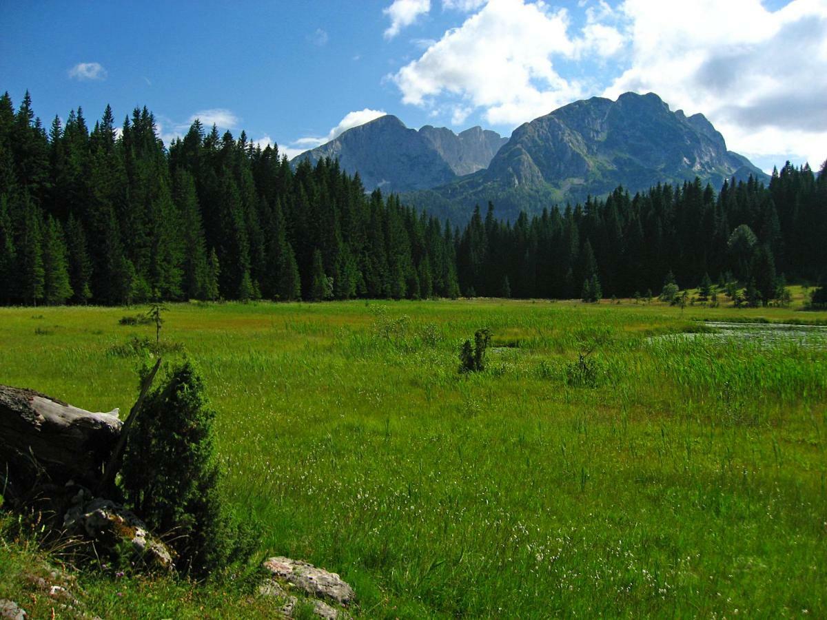 Cottage Bosaca Žabljak Εξωτερικό φωτογραφία