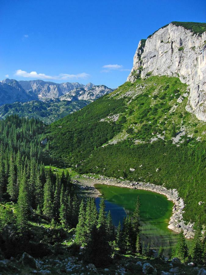 Cottage Bosaca Žabljak Εξωτερικό φωτογραφία